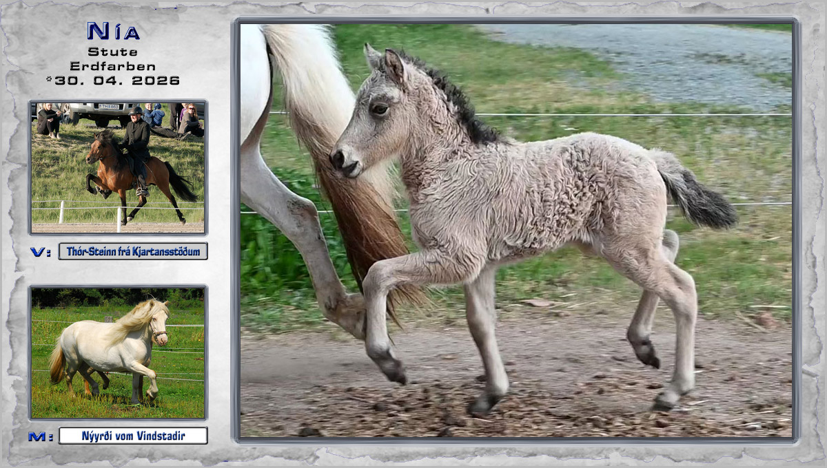 jquery carousel